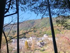 -塔川景区