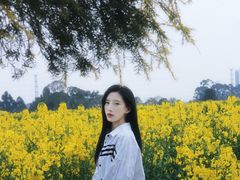 -三圣花乡旅游区