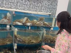-仙螺岛海鲜自助餐厅(总店)