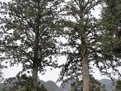 -唐崖土司城遗址