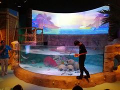 -沈阳海洋探索中心