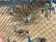 -森林公园(尖草坪区)