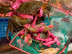 -辣螃铠盆盆蟹大排档(总店)