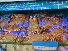 -倍儿美海鲜大排挡·非遗海鲜蒸饺(洋货店)