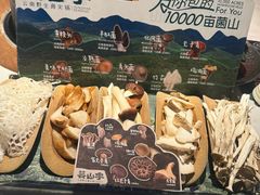 -芸山季·云南山珍菌火锅(人民广场来福士店)