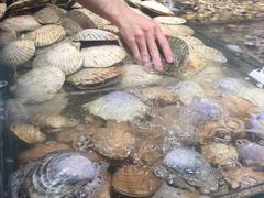 -盒马鲜生(曜一城店)