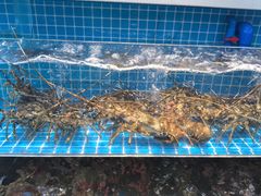-王潮活海鲜自助·蒸汽海鲜