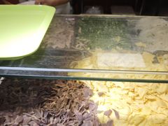 -孔师傅八仙老鸭粉丝汤(上海市第一食品商店南东店)