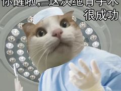 -艾吉宠物医院·疑难杂症转诊中心·猫友好(碧江路院)