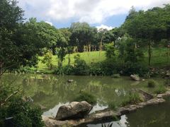 -云溪植物园
