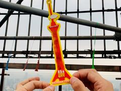 -339旋转餐厅(天府熊猫塔店)