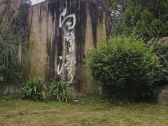 -白鹭湾湿地公园