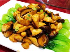 -海岛渔村大酒店(云霄路店)