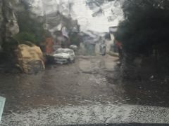 -林记开心动物奶油生日蛋糕(江南春晓店)