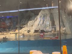 -帝企鹅自助餐厅•儿童岛•真企鹅(长隆企鹅酒店)