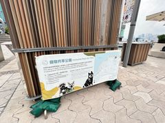 -星光大道