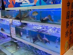 -盒马鲜生(大成店)