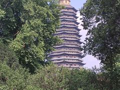 -红梅公园