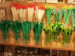 -苏州外国语学校