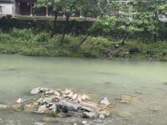 -鹿亭中村