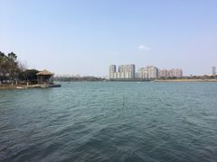-暨阳湖生态园