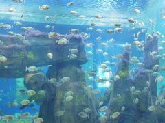 -石家庄海洋公园