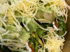 -油梨树 AVOCADO TREE(亮马桥店)