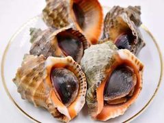 白灼香螺-旺福林海鲜·川菜·海鲜加工(三亚湾椰梦长廊店)