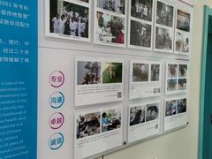 -北京观赏动物医院·24小时大型综合·猫专科·异宠专科