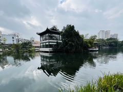 -荔湾湖公园