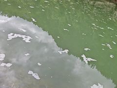 -鱼豆吉·豆浆鱼火锅(宜昌万达店)