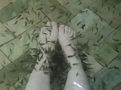 -徂徕山森林康养度假谷温泉