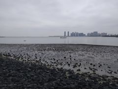 -万绿园
