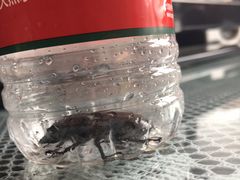 -南通博物苑-崇川人民公园