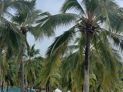 -日落吧·海景咖啡厅·餐酒吧·鸡尾酒·下午茶·乐队表演·浪漫夕阳·三亚文华东方酒店