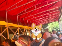 -将军关探险漂流