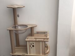 -猫友咖啡店(玉林西路店)