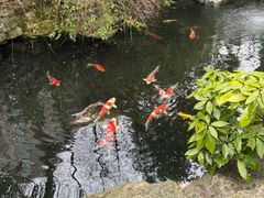 -香然会·园林雅宴(陆家嘴店)
