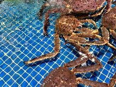 -三亚火车头万人海鲜广场