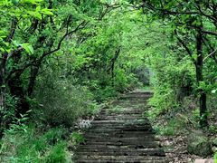 -杭州半山国家森林公园