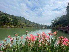 -广州白江湖森林公园