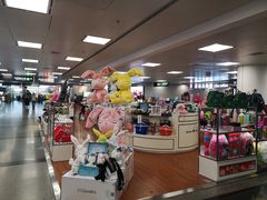 -厦门高崎国际机场-T3航站楼