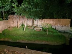 -清迈夜间动物园