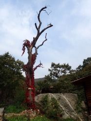-北京水岸山吧度假村(雁栖镇店)