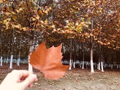 -滨湖塘西河公园