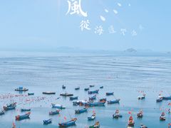 -枸杞岛