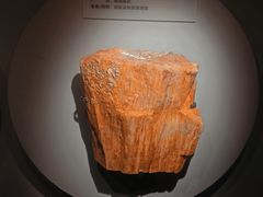 -湖南省地质博物馆