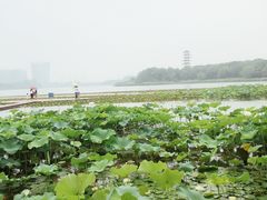 -暨阳湖生态园