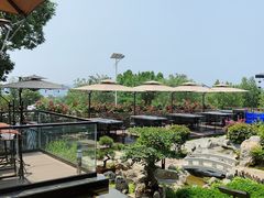 -蘇河湾·新鲁菜·泰山宴(泰山店)