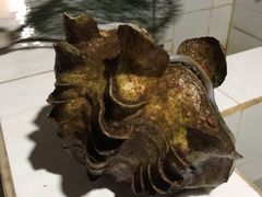 -海盗餐厅